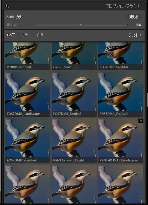 Lightroom Classic